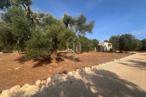 Villa i Carovigno, Brindisi, Carovigno - € 340.000 | Ref: Villa Casellini - foto 16
